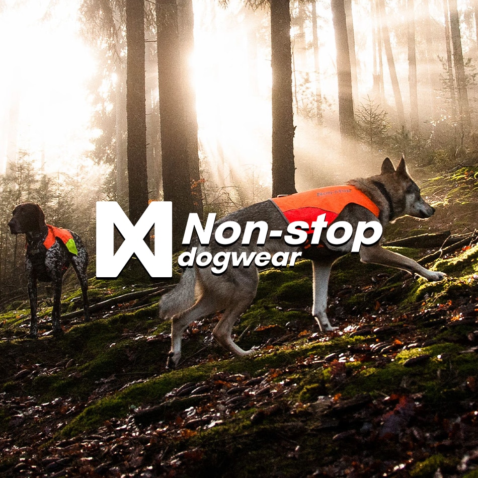 https://www.hektapatur.no/pub_docs/files/Custom_Item_Images/Box-4---Non-stop-dogwear.png