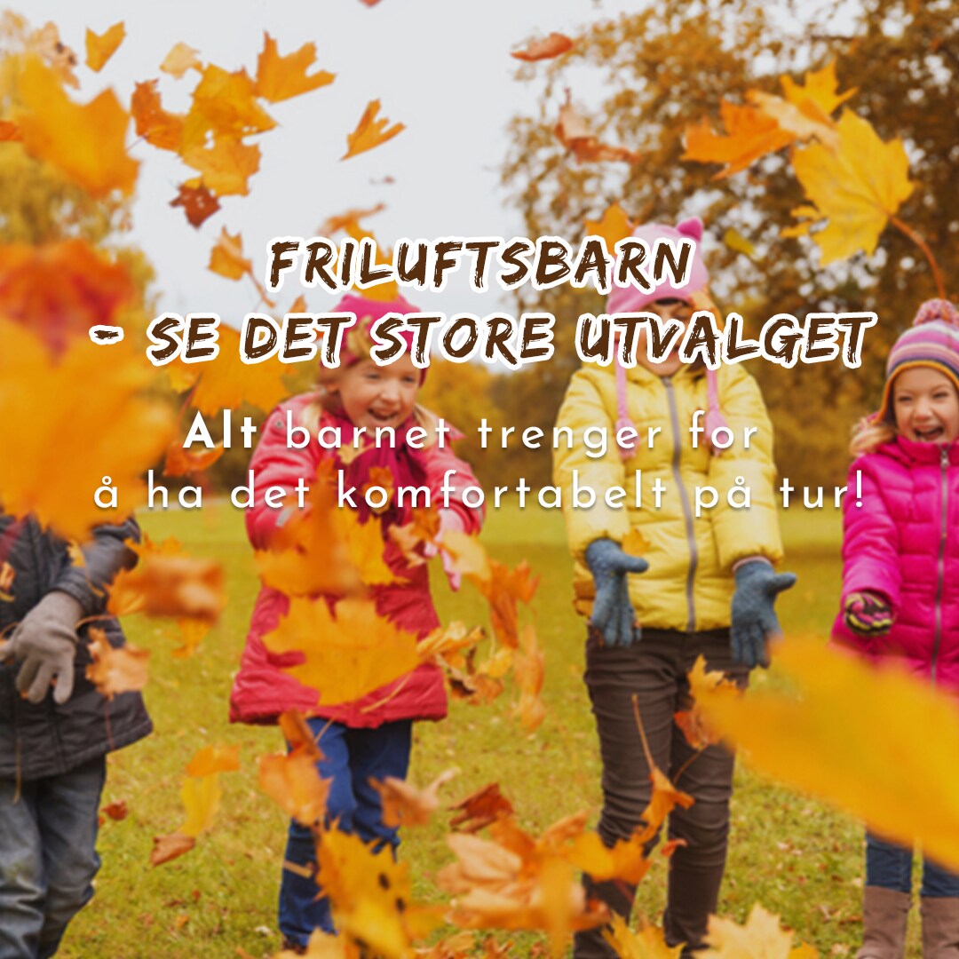 https://www.hektapatur.no/pub_docs/files/Custom_Item_Images/FRILUFTSBARN2.png