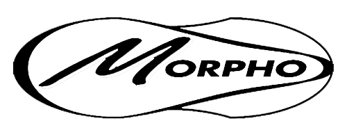 morpho