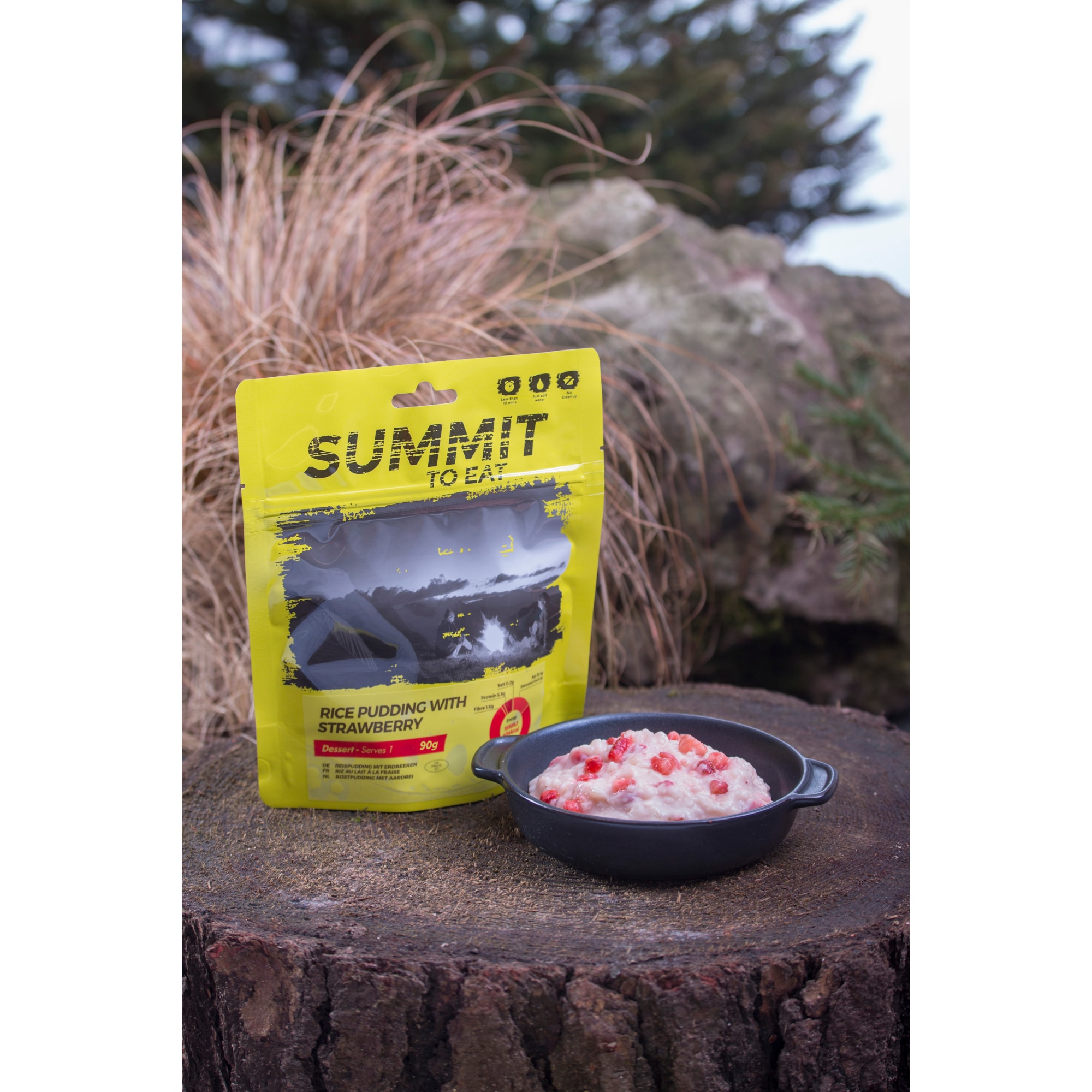 Summit To Eat Rice Pudding