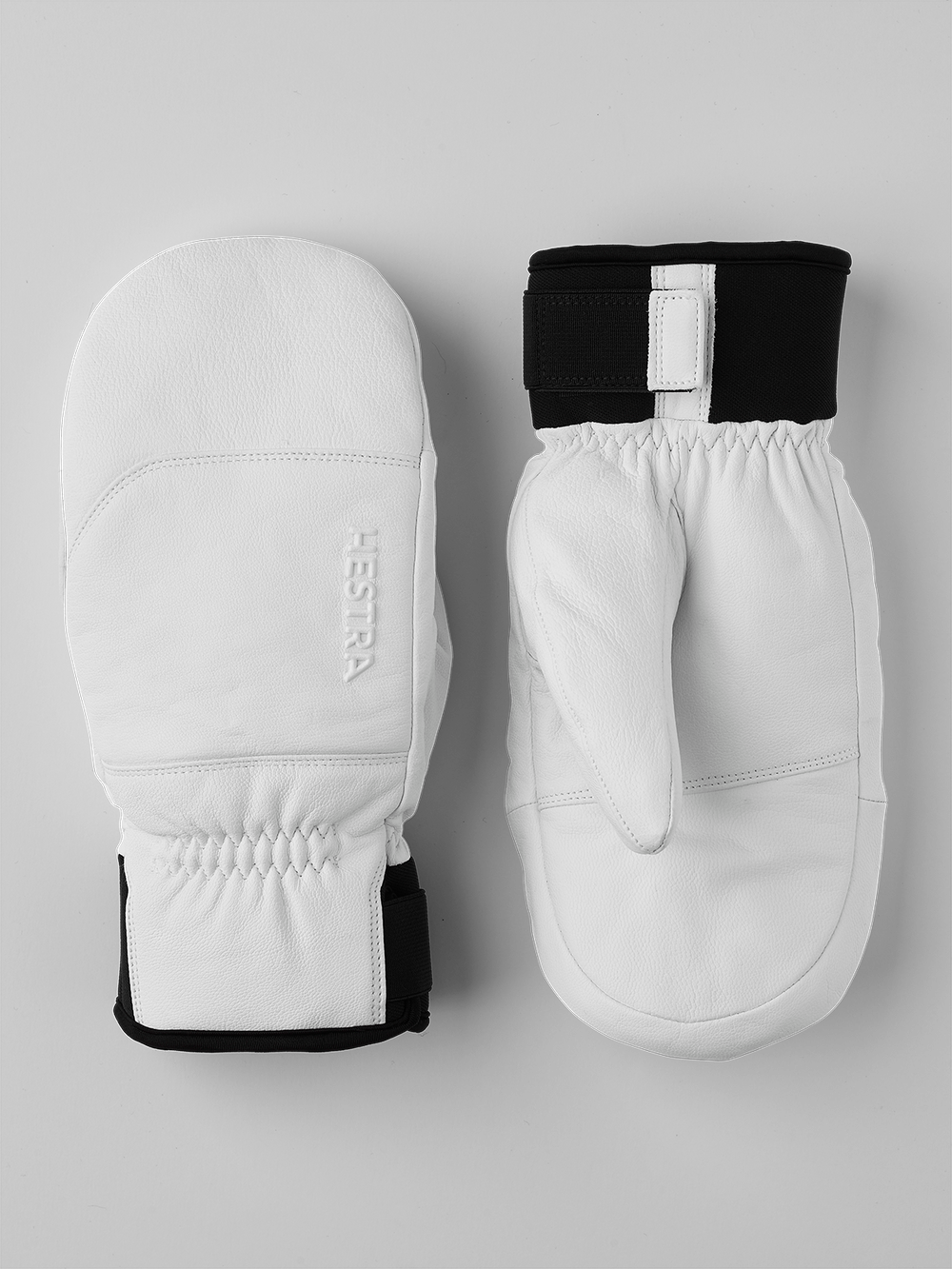 Hestra Omni Mitt 