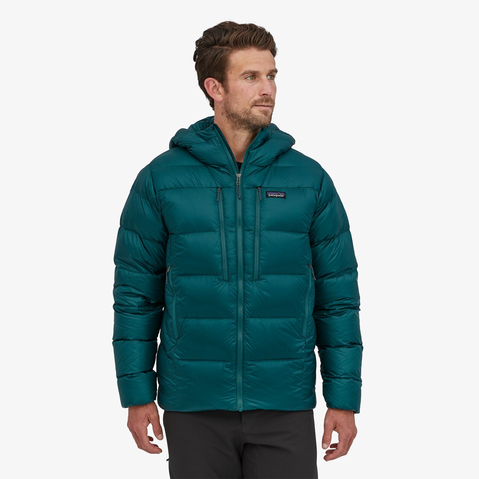 Patagonia Fitz Roy Down Hoody, M's