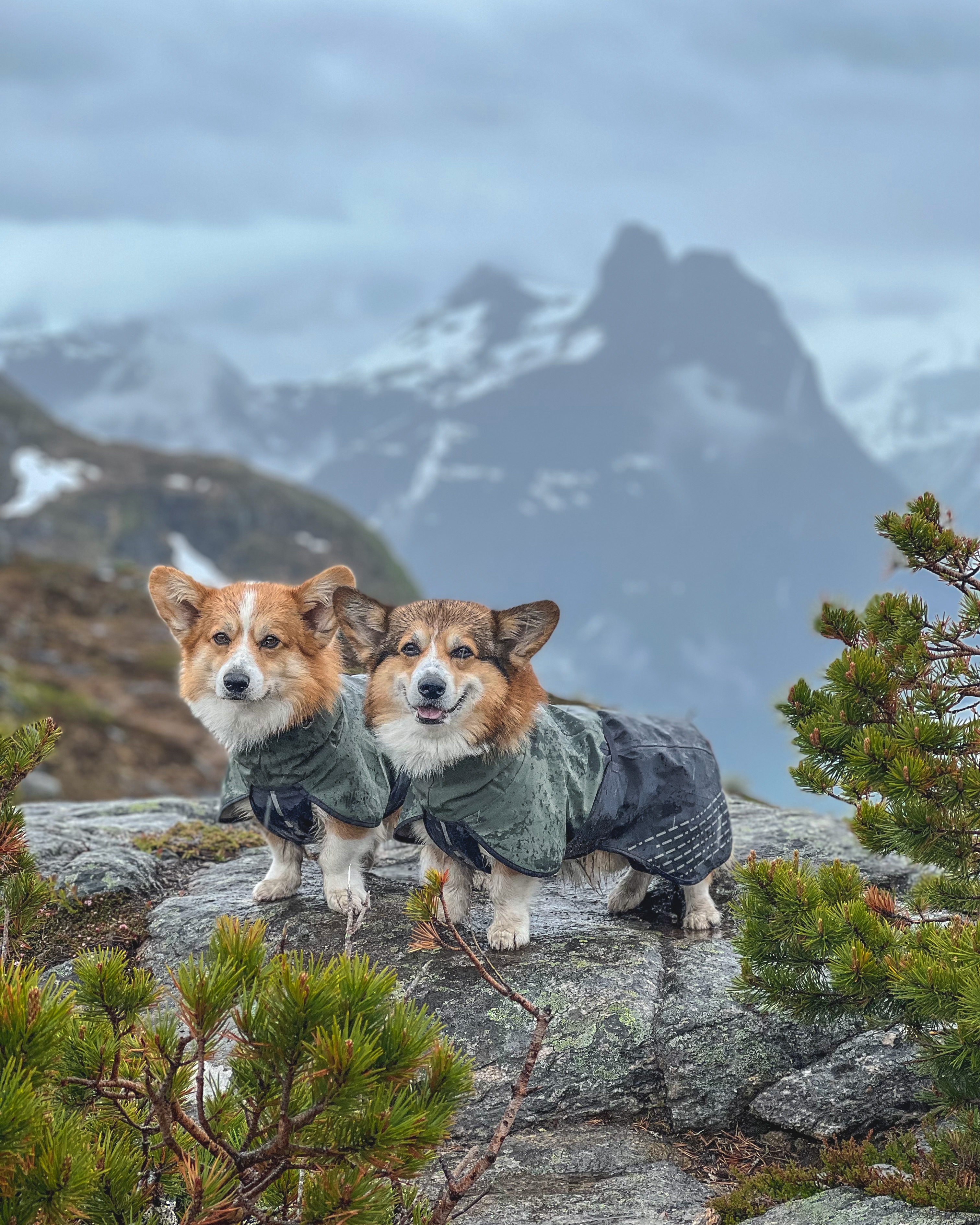 Non-Stop Dogwear Fjord Raincoat 