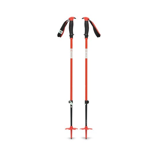 Black Diamond Traverse ski poles