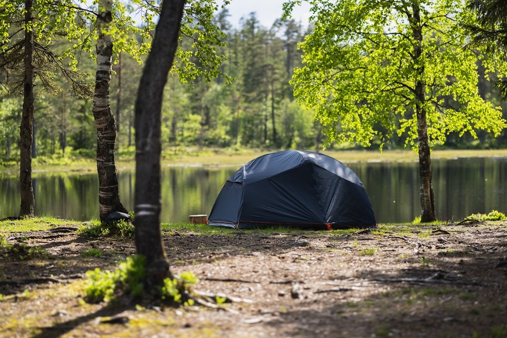 Falkeberg Cora 3 Tent