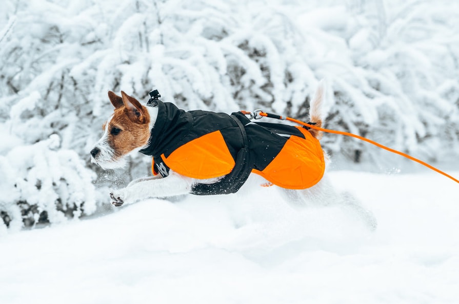 Non-Stop Dogwear Glacier Jacket 3.0
