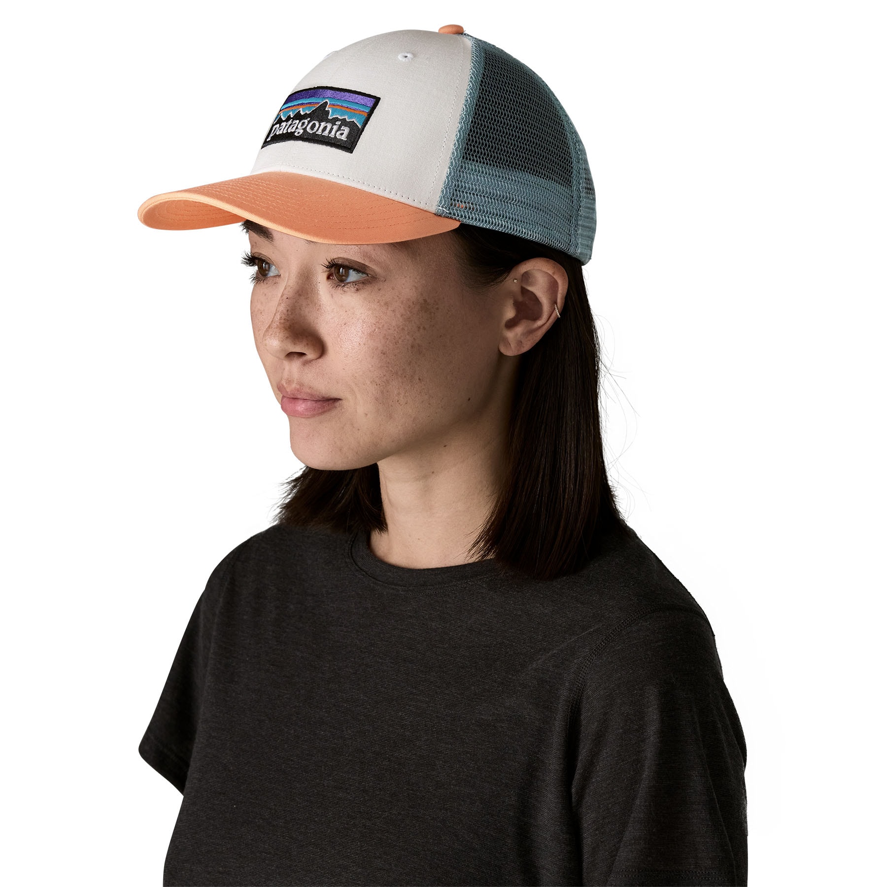 Patagonia P-6 logo LoPro Trucker Hat