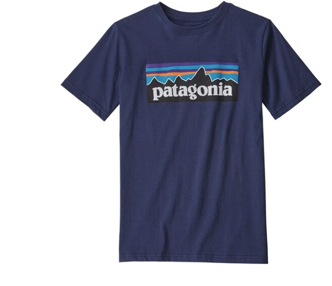 Patagonia Boys' P-6 Logo Organic T-shirt