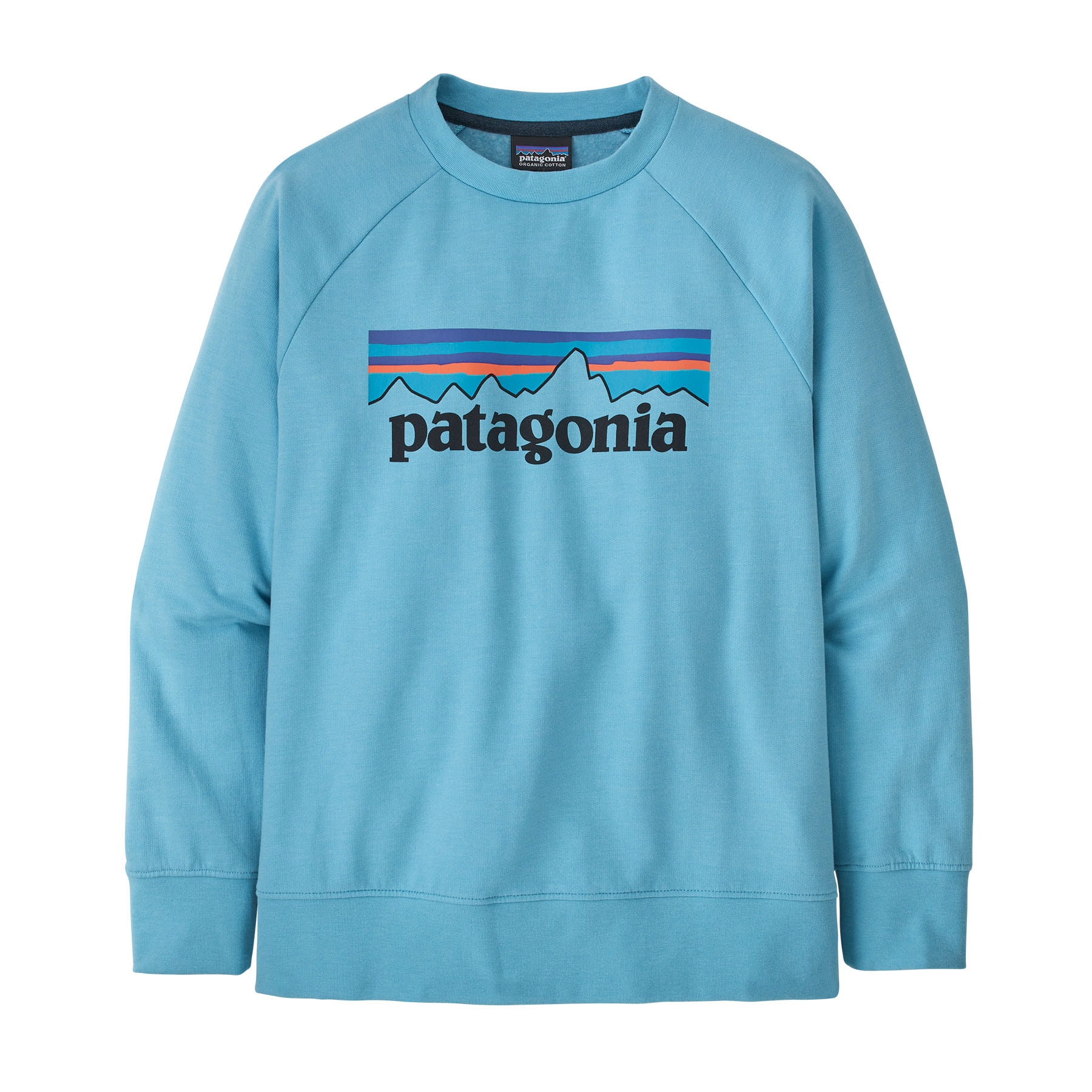Patagonia Kid's LW Crew Sweatshirt