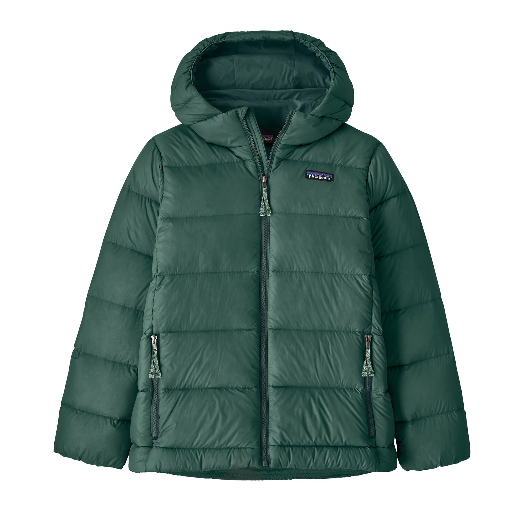 Patagonia Kids Hi-Loft Down Sweater Hoody