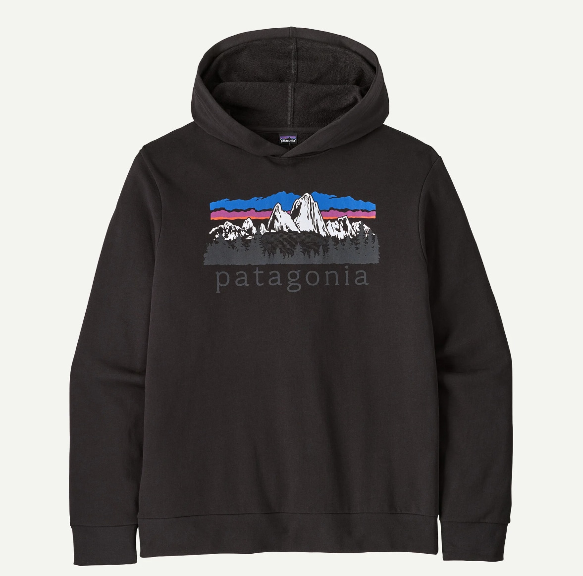 Patagonia Fitz Roy Foothills Daily Hoody  Herre
