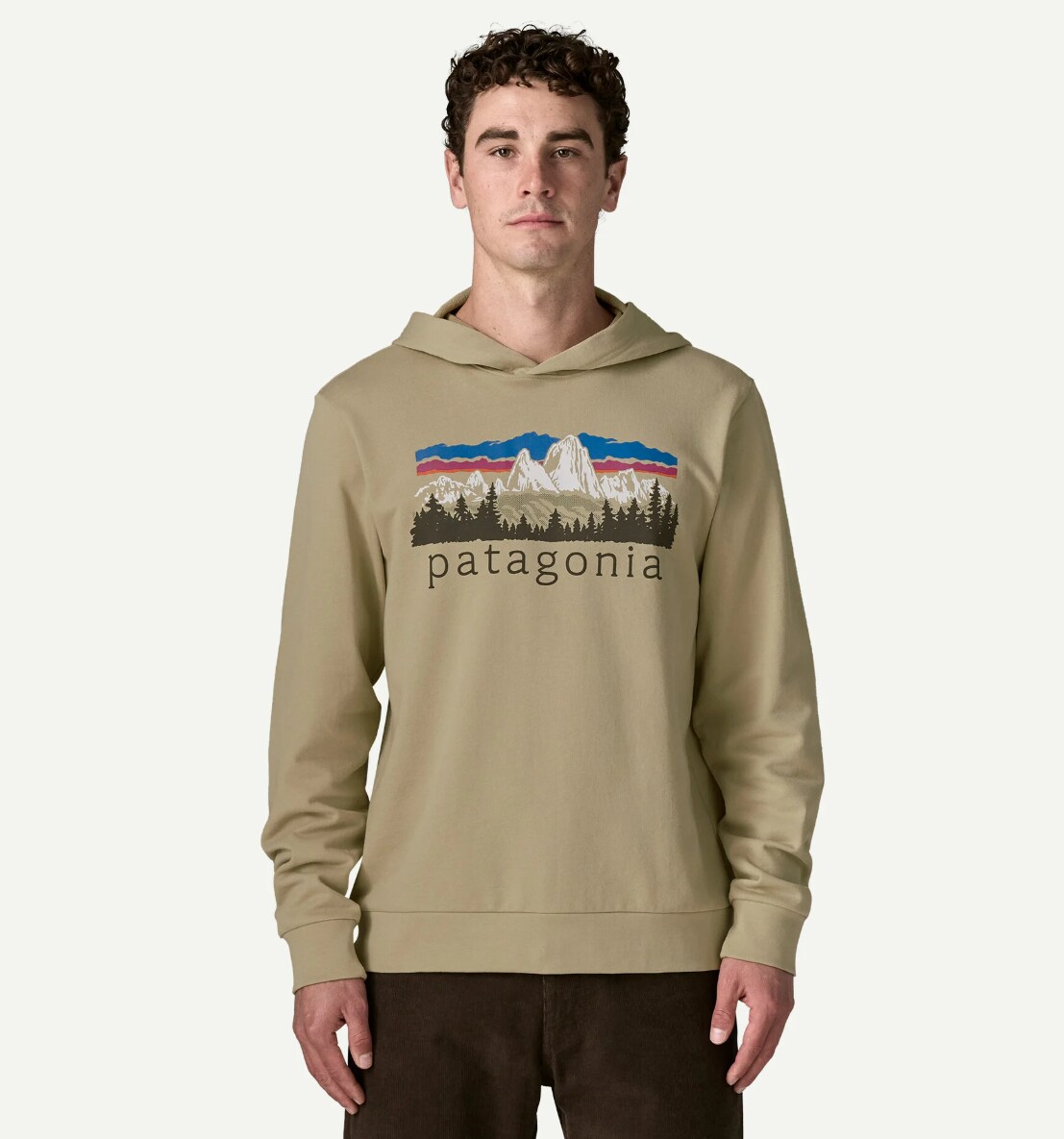 Patagonia Fitz Roy Foothills Daily Hoody  Herre