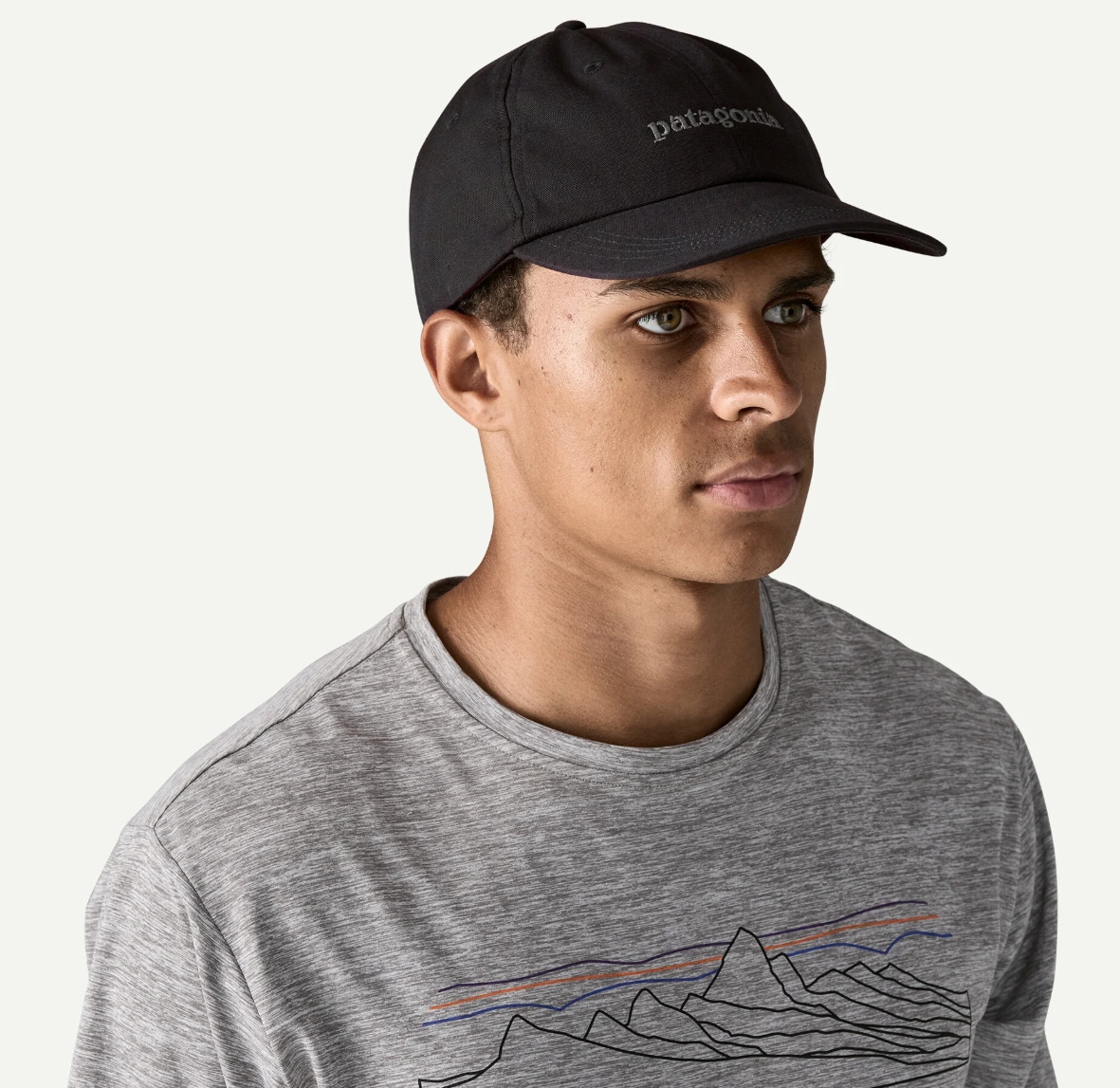 Patagonia Fitz Roy Icon Trad Cap