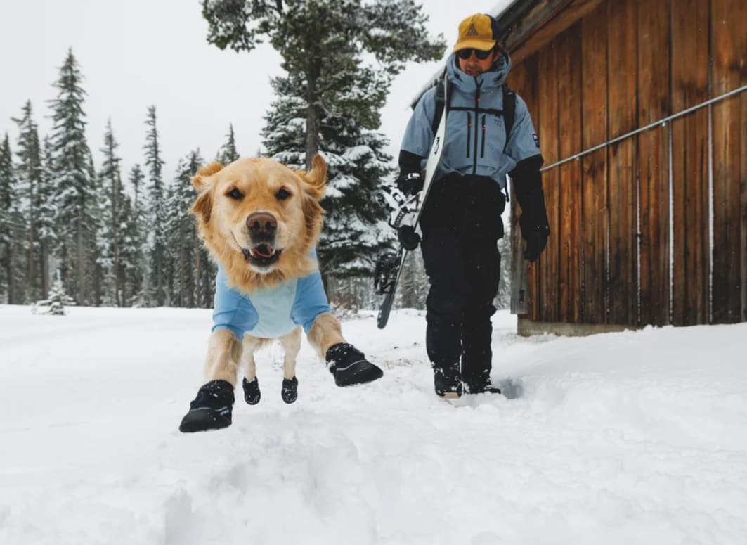 Ruffwear Polar Trex 2.0