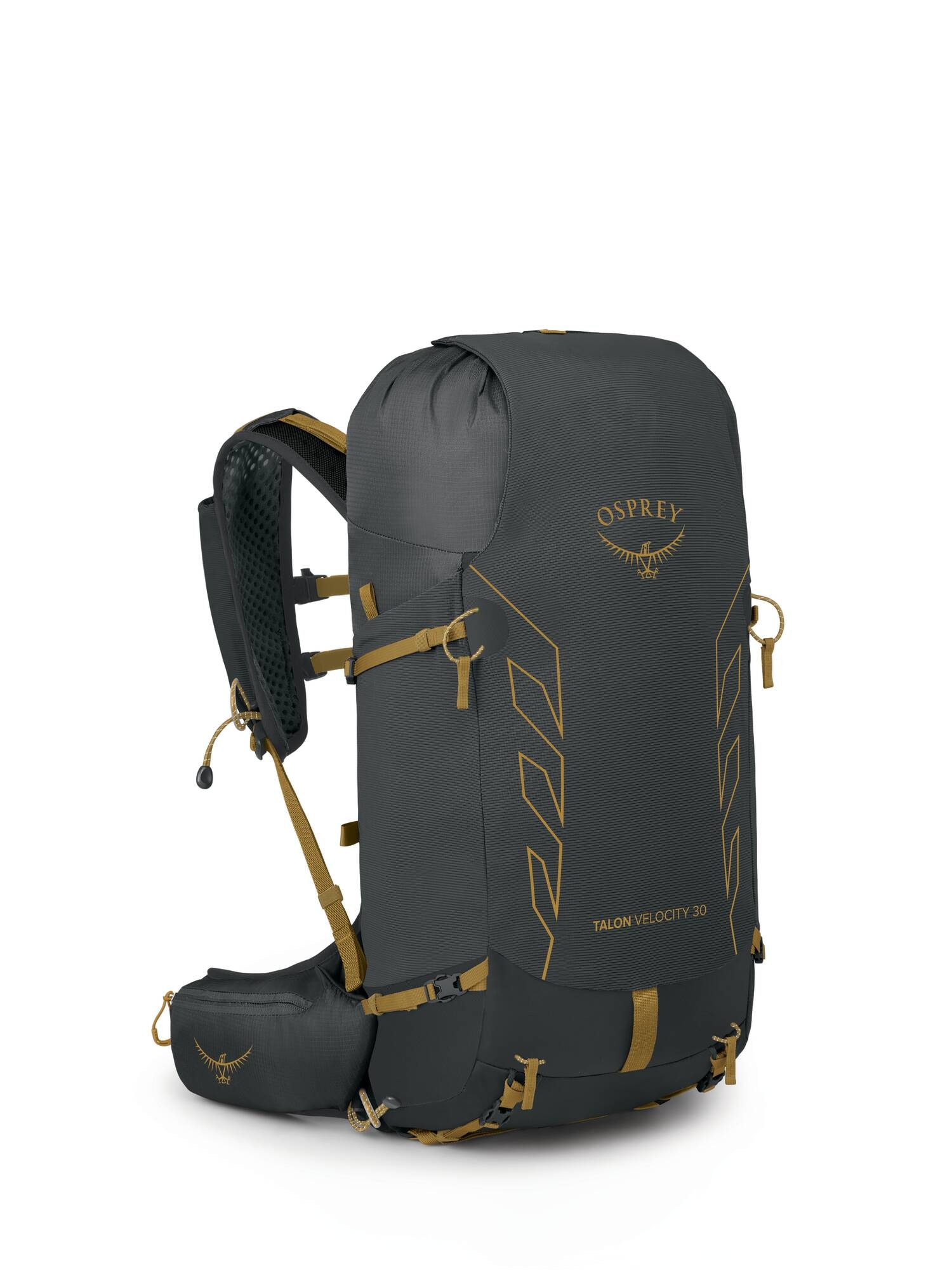 Osprey Talon Velocity 30L