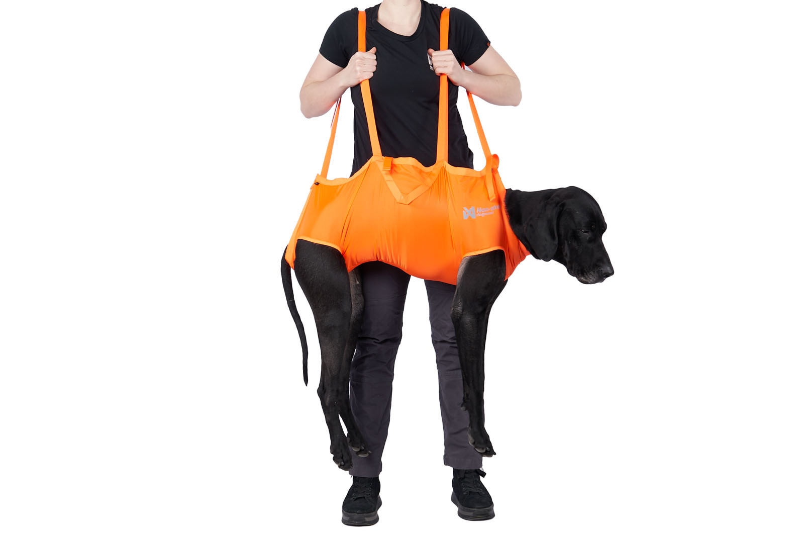 Non-Stop Dogwear Dog rescue sling