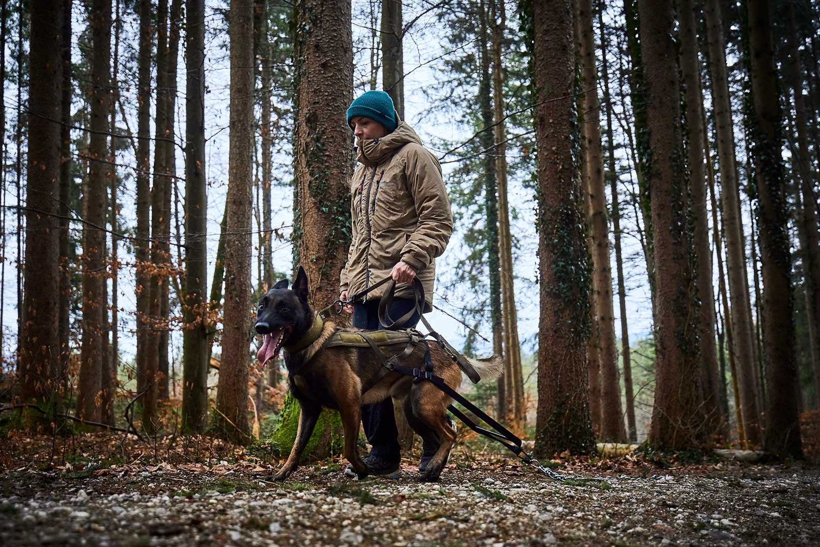 Non-Stop Dogwear Freemotion Defense Harness 