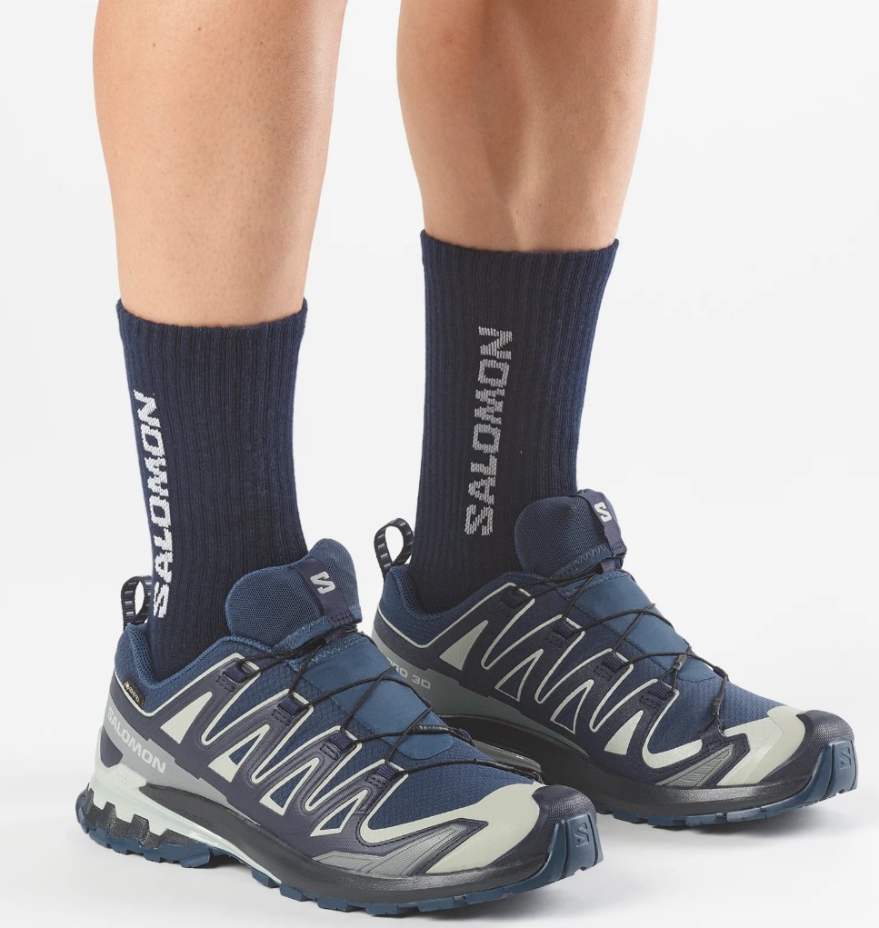 Salomon XA PRO 3D V9 GTX, Herre