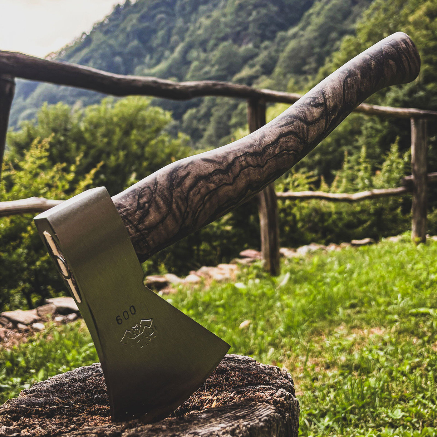 Prandi Camp Special Editon Roots