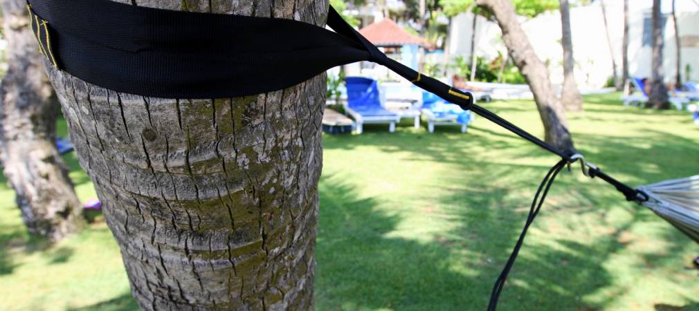 tttm-tree-friendly-strap-3